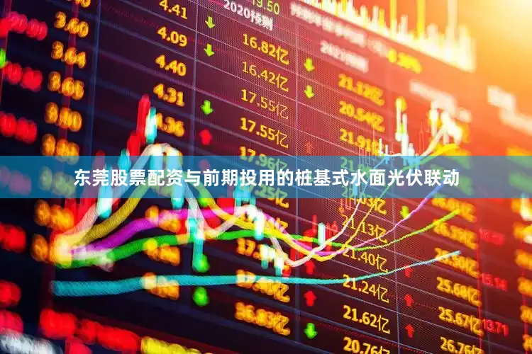 东莞股票配资与前期投用的桩基式水面光伏联动