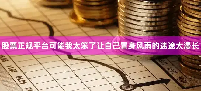 股票正规平台可能我太笨了让自己置身风雨的迷途太漫长